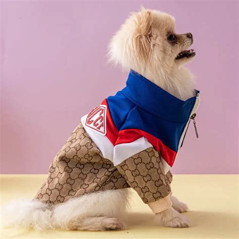 gucci dog shoes|gucci inspired dog clothes.